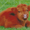 Brown Mini Cow Diamond Painting