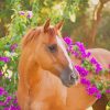 Brown Horse With Flowers Diamond Painting