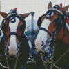 Budweiser Clydesdales Horses Diamond Painting