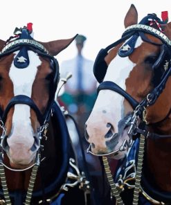 Budweiser Clydesdales Horses Diamond Painting