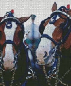 Budweiser Clydesdales Horses Diamond Painting