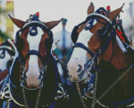 Budweiser Clydesdales Horses Diamond Painting