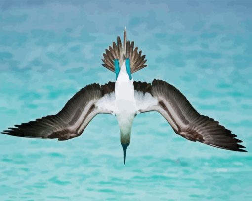 Flying Blue Footed Boobies Diamond Painting