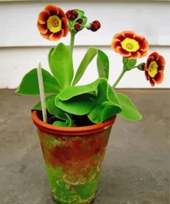 Potted Primrose Auriculas Diamond Painting