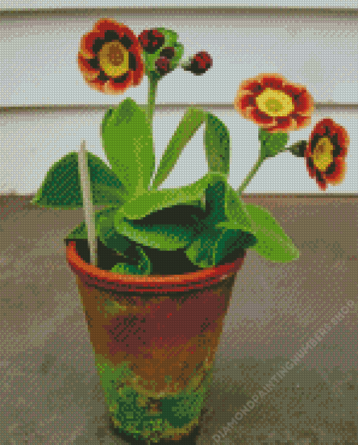 Potted Primrose Auriculas Diamond Painting