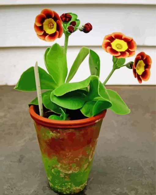 Potted Primrose Auriculas Diamond Painting