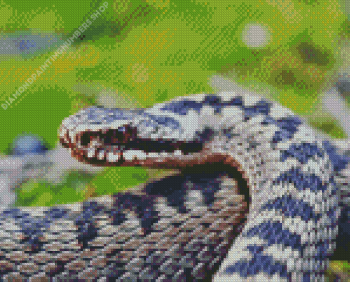 The Adder Snake Diamond Painting