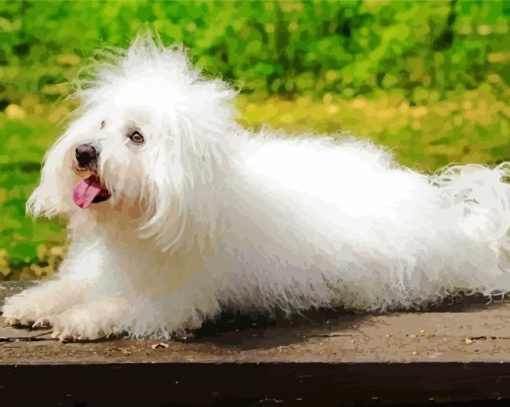 White Fluffy Dog Diamond Painting