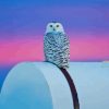 White Owl In Purple Sky Diamond Painting