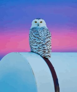 White Owl In Purple Sky Diamond Painting