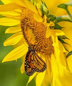 Yellow Sunflower With Butterfly Diamond Painting