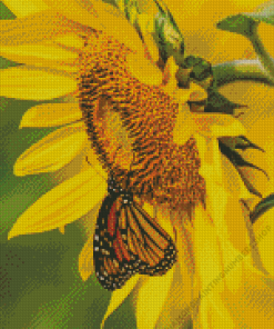 Yellow Sunflower With Butterfly Diamond Painting