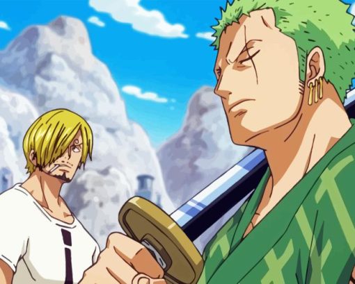 Zoro Sanji One Piece Diamond Painting