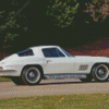 67 Stingray Diamond Painting