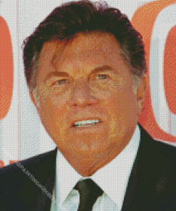 Actor Larry Manetti Diamond Painting