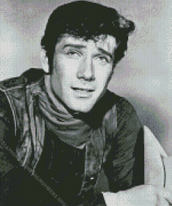 Actor Robert Fuller Diamond Painting