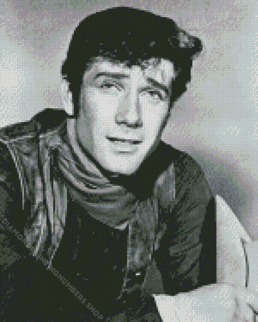 Actor Robert Fuller Diamond Painting