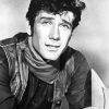 Actor Robert Fuller Diamond Painting