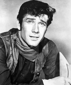 Actor Robert Fuller Diamond Painting