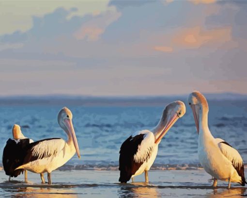 Australian Pelicans At The Beach Diamond Painting