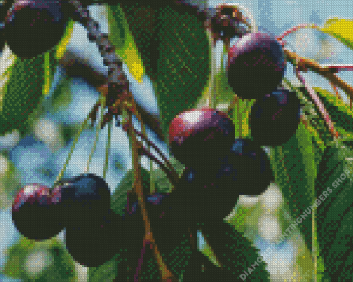 Black Cherry Plant Diamond Painting