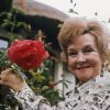 Beryl Reid With Pink Flower Diamond Painting