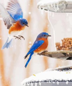 Birds And Snow Diamond Painting