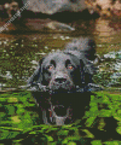 Black Dog On A Lake Diamond Painting