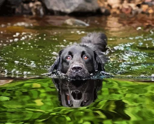 Black Dog On A Lake Diamond Painting