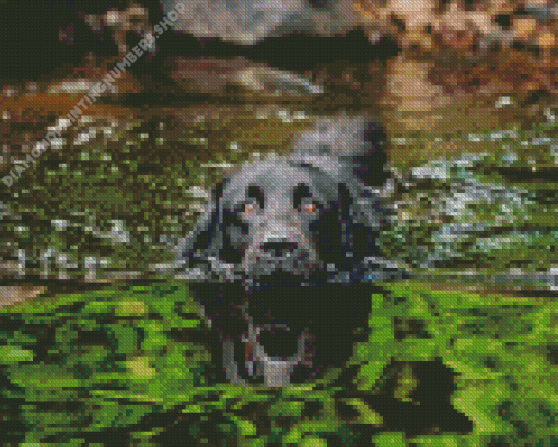 Black Dog On A Lake Diamond Painting