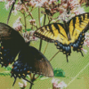 Black Machaon And Tiger Swallowtail Diamond Painting