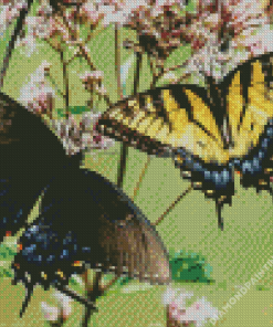 Black Machaon And Tiger Swallowtail Diamond Painting