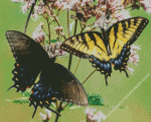 Black Machaon And Tiger Swallowtail Diamond Painting