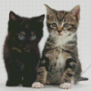 Black And Tabby Cats Diamond Painting