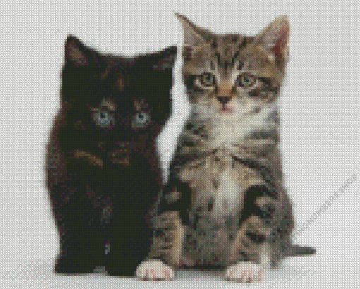 Black And Tabby Cats Diamond Painting