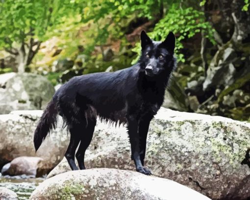 Black Wolf Diamond Painting