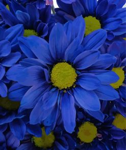 Blue Daisies Diamond Painting