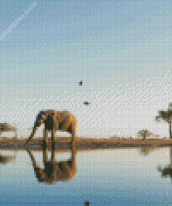 Botswana Elephant Diamond Painting