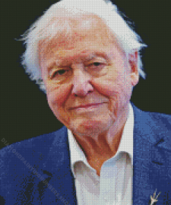 British Broadcaster David Attenborough Diamond Painting