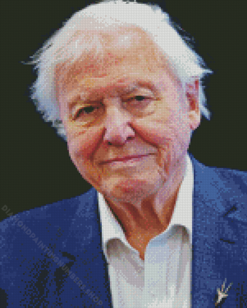 British Broadcaster David Attenborough Diamond Painting