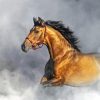 Brown Horse In The Smoke Diamond Painting