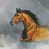 Brown Horse In The Smoke Diamond Painting