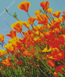 California Poppies Diamond Painting