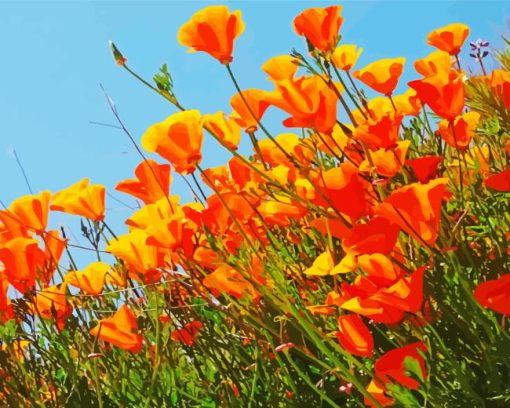 California Poppies Diamond Painting