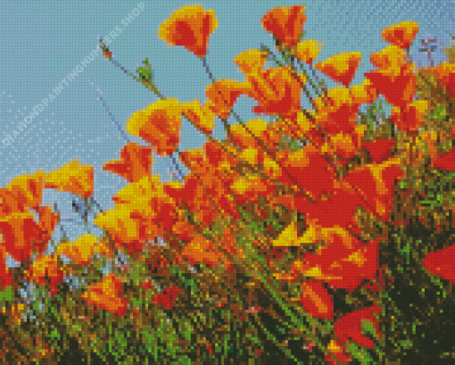 California Poppies Diamond Painting