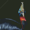 Cassowary Diamond Painting