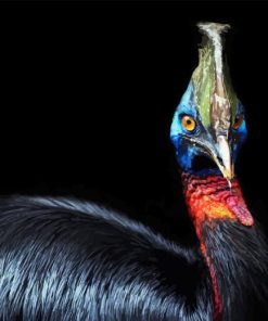 Cassowary Diamond Painting