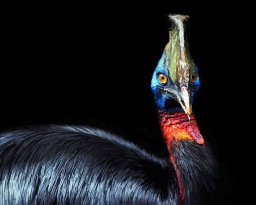 Cassowary Diamond Painting