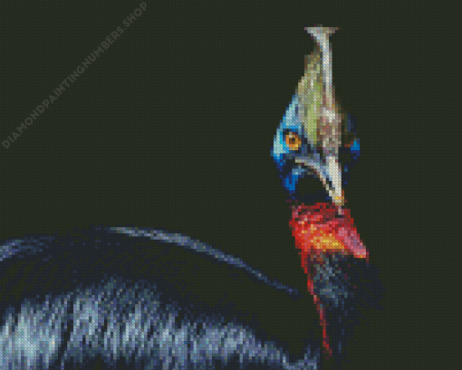 Cassowary Diamond Painting