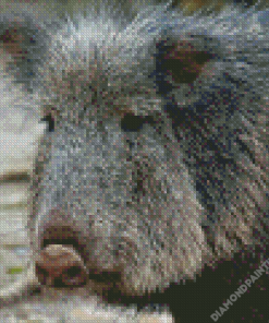 Charcoan Peccary Diamond Painting